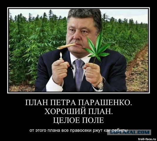 Свидомитка расстреливает мирное село.