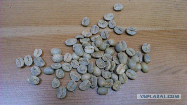 Как выглядят 19 популярных продукта