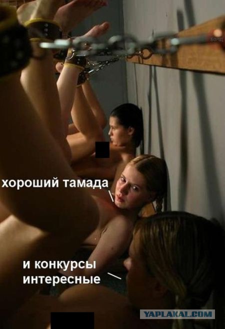 Высокоморальная женщина или Другая измена