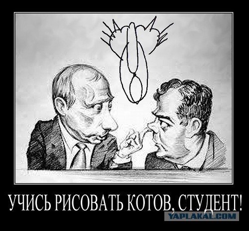 Владимир Путин с котом