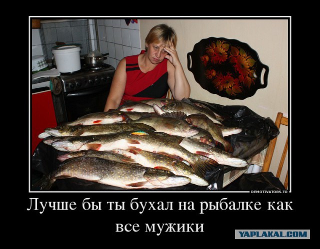 Забавные картинки из Сети