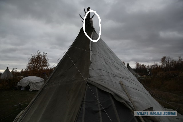 Экспедиция к 503 стройке.
