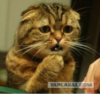 Правда и мифы о Норильске
