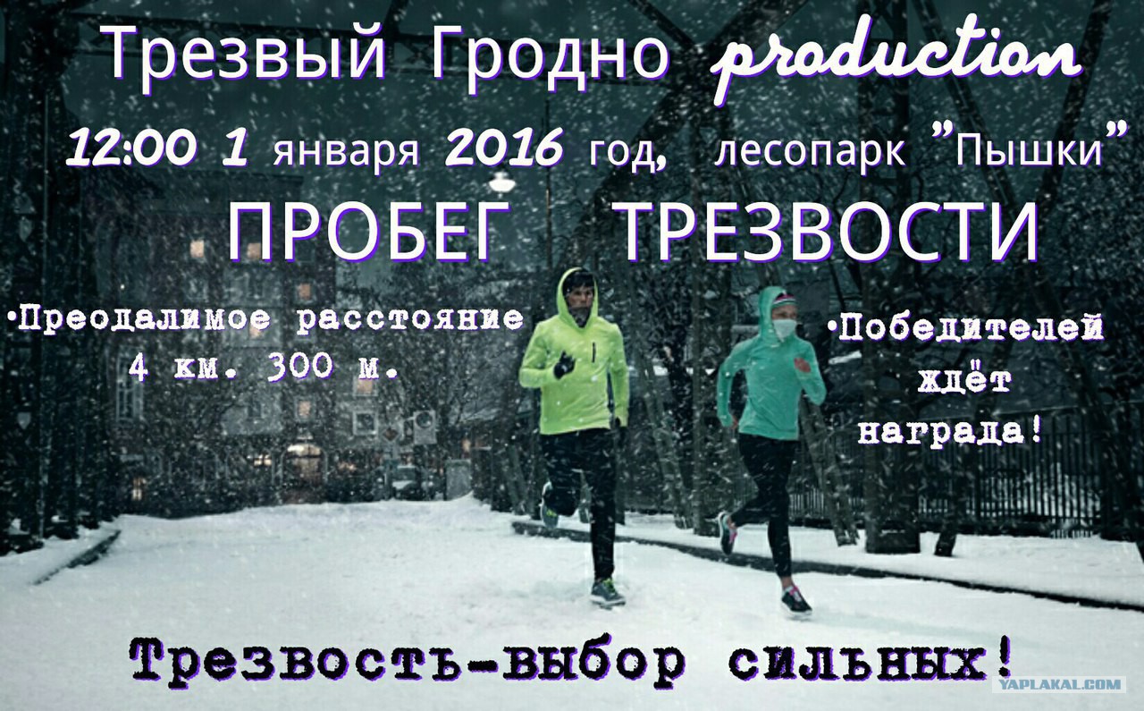 трезвый 1 января