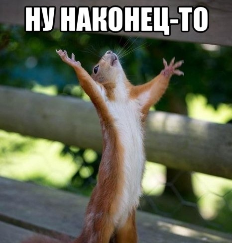 У меня грустные новости для соЯПовца. Слава Новиков тут есть?