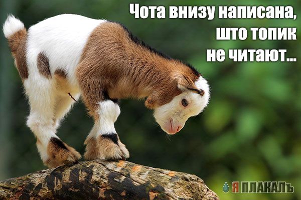 Уже да :) Ужо пятнецца...