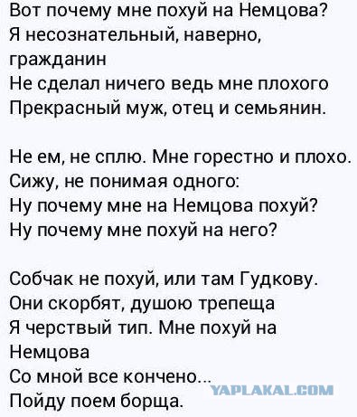 Марш памяти Немцова за 60 секунд