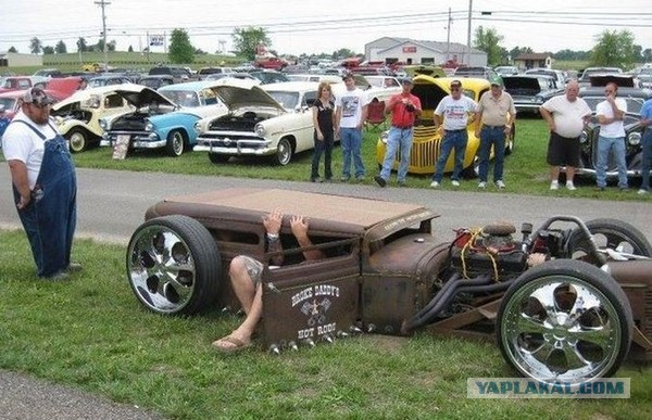 Картинки из интернетов