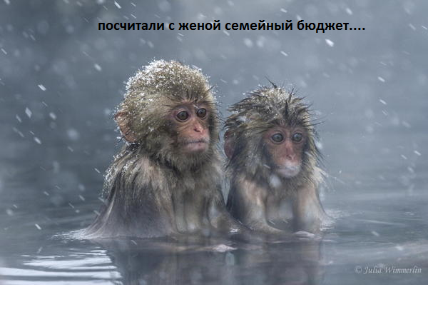 Свежая, утренняя, подборка картинок.