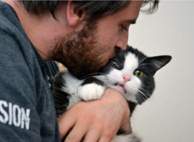 Подборка картинок на среду