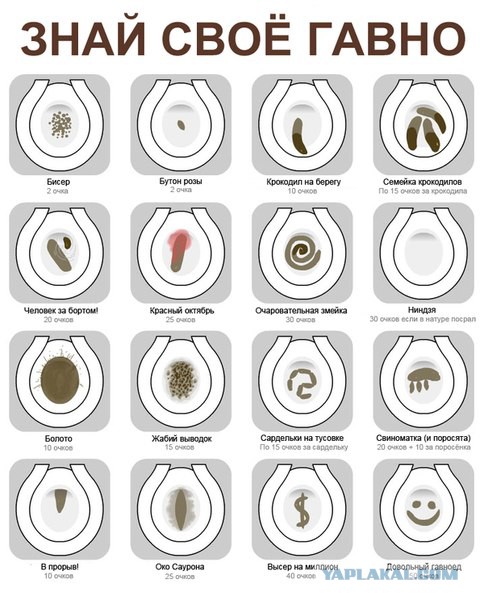 Очередная новинка