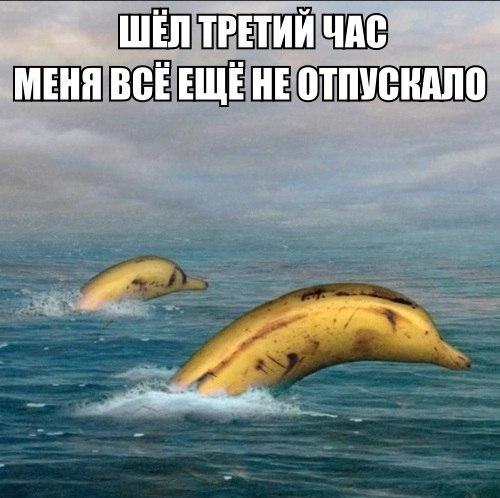 Майский черный юморок