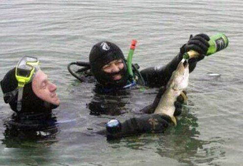 Такое можно встретить только в России