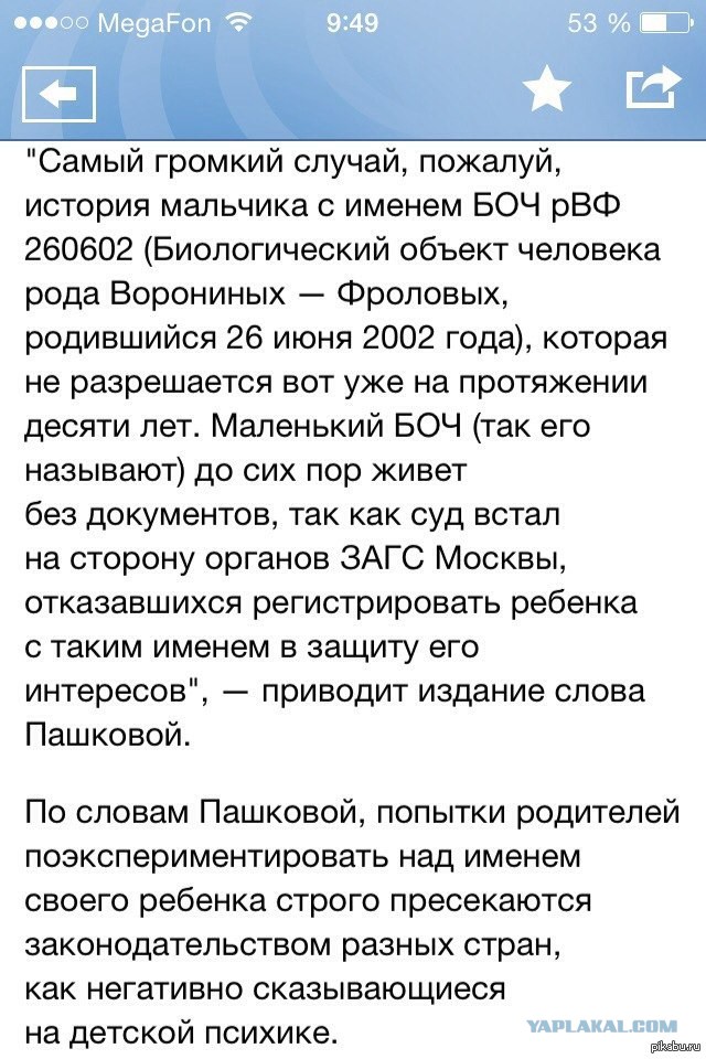 Знакомьтесь, сыновья генпрокурора - ЛСДУ3 и ЙФЯУ9