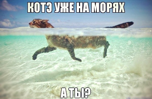 Подборка красивых и прикольных фото