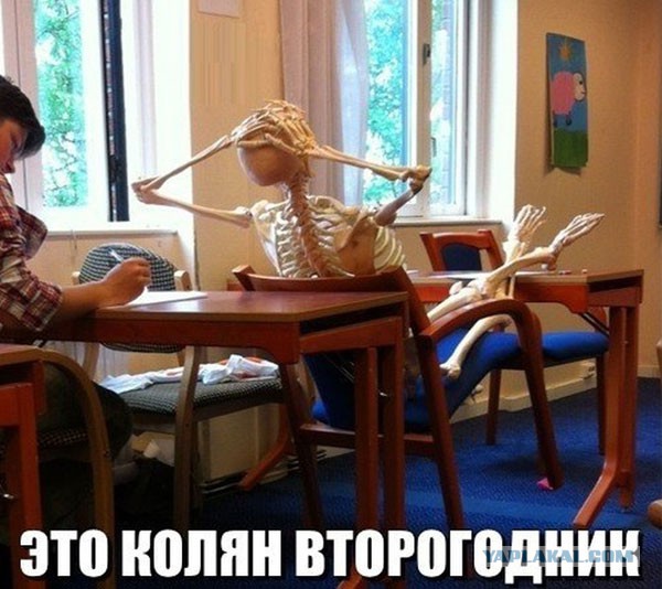 Порция картинок из сети