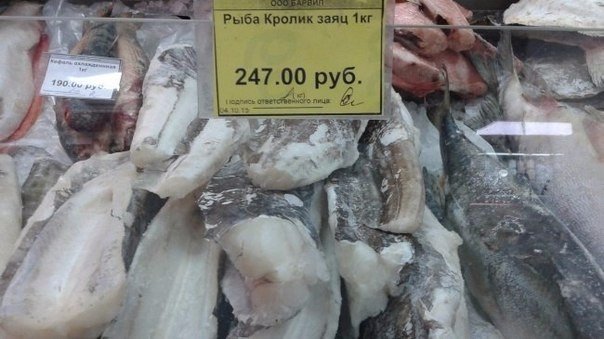 Ассорти картинок из сети