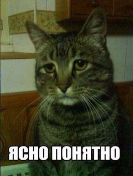 Кандидат от партии Неуверенная Россия
