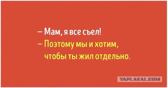 День открытых дверей в палате №6