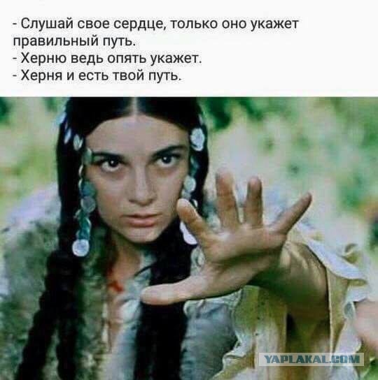 Доза раскумара на новую неделю