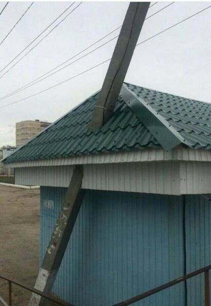 Подборка безудержного веселья