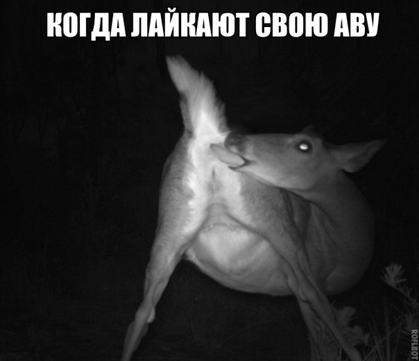 Чёрный и абсурдный юмор к понедельнику