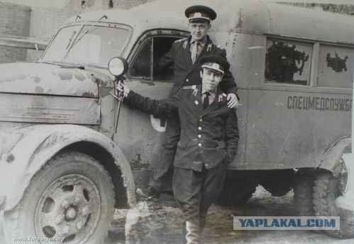 Медвытрезвители