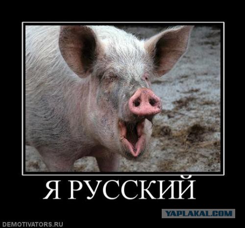 Типичное московское утро...