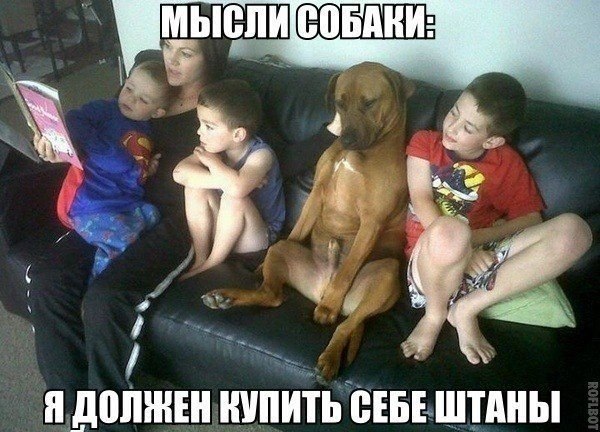 Деградировать подано, дамы и господа!