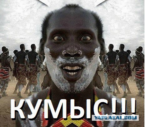 Wargaming 49