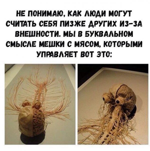 Журнал школьный деградант