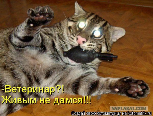 Опыт знакомства в соцсетях