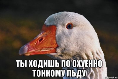 Итоги проверки пользователей