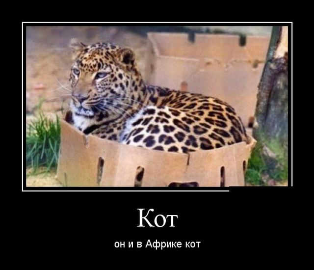 Картинки и Демотиваторы в кучу