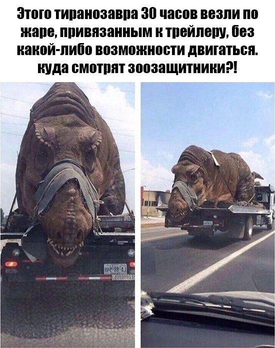 Прикалюхи