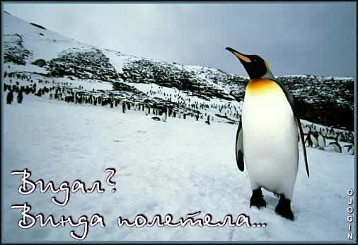 Сегодня Windows 98 отмечает своё 20-летие!