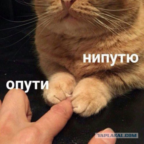 Про измены в командировках