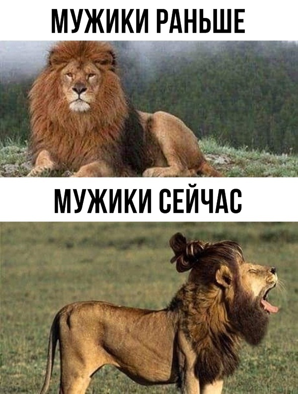 Немного картинок в эту среду
