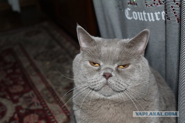 КОТовторник 13.04.2010г.
