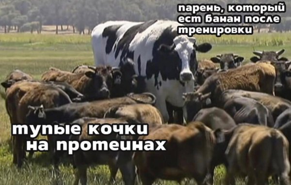 Нестандартный юмор
