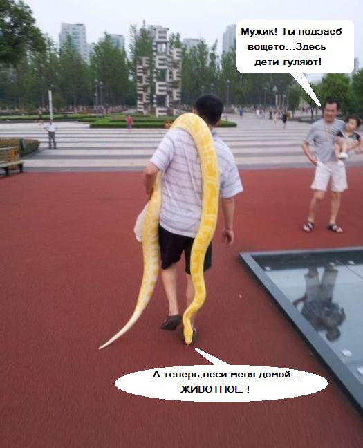 А теперь приступим к водным процедурам