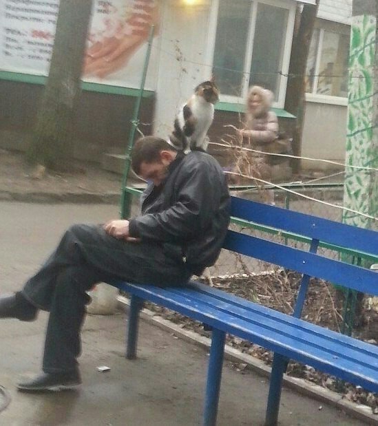 Чудики из социальных сетей