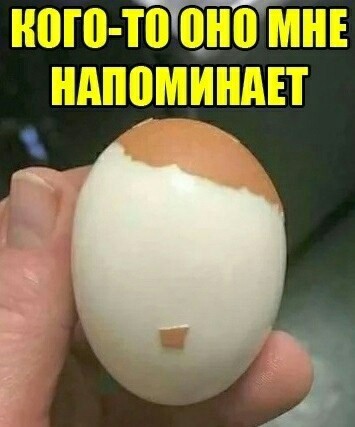 «Картинки всякие нужны, картинки всякие важны» ©
