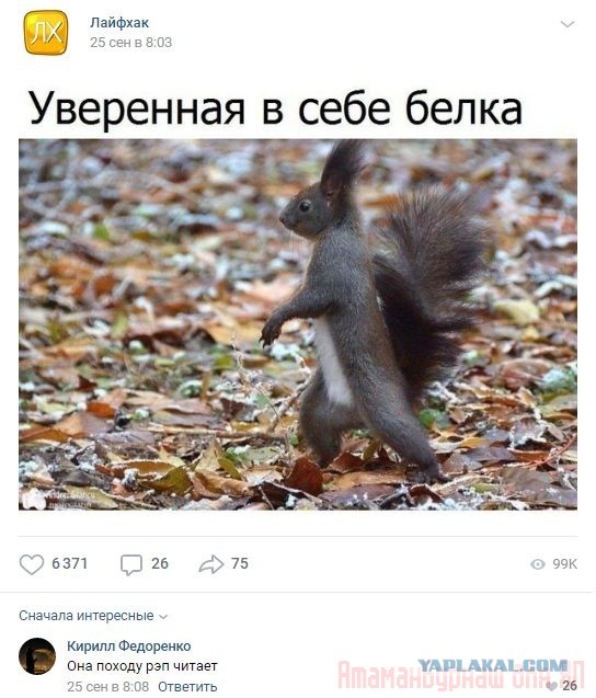 Комментарии к постам в разных группах, которые вызвали улыбку
