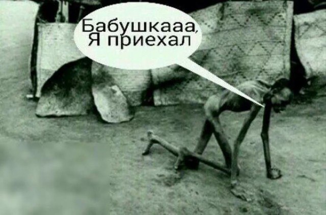 Бредзона картинок 20.11.2019