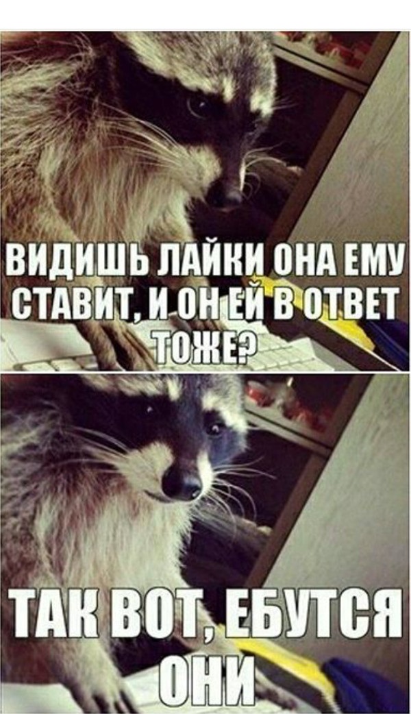 Древние мемы с ВК. Для тех кто забыл #5