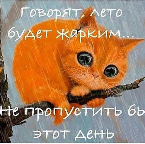 Чуток картинок 06.06.20