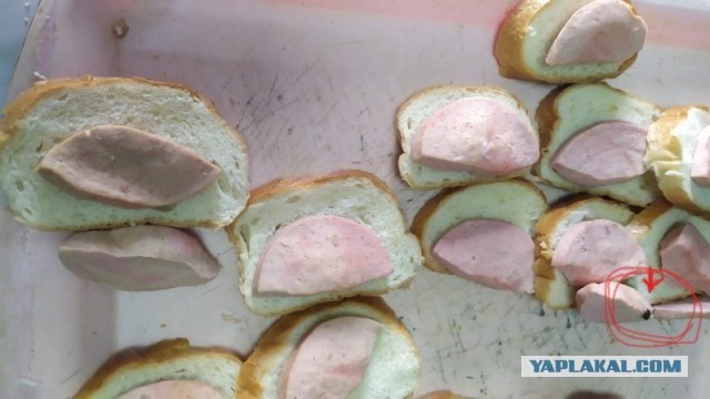 «Для чего работники столовой переводят государственные продукты? Или они думают - наши дети свиньи?»