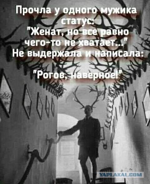Прикольные и просто красивые картинки 10.11.2020