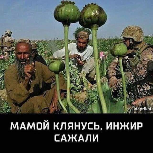 Картинок пост 23.12.2020